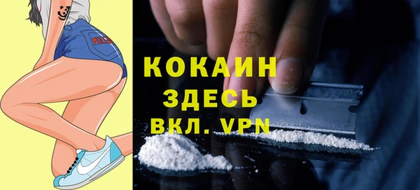 spice Нязепетровск