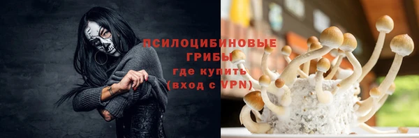 spice Нязепетровск