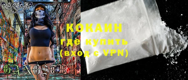 мяу мяу кристалл Няндома