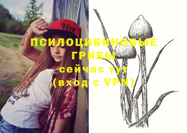 мяу мяу кристалл Няндома