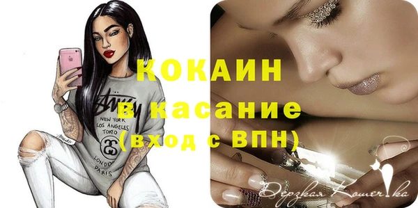 мяу мяу кристалл Няндома