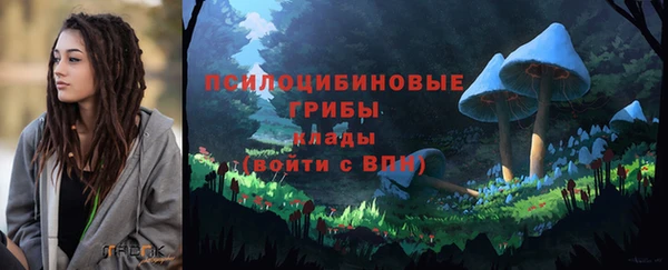 бошки Болхов